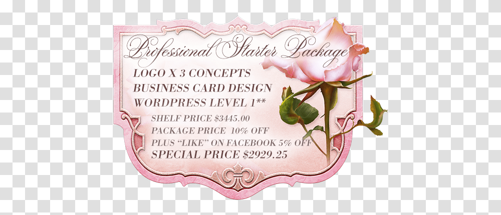 Blossom Graphic Design Boutique Business Specials Garden Roses, Label, Text, Paper, Birthday Cake Transparent Png