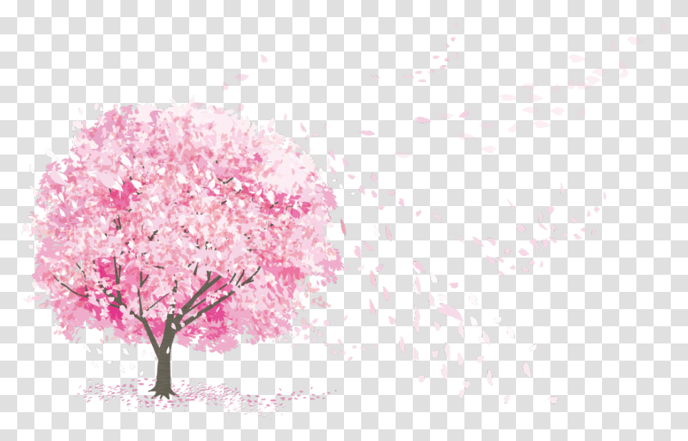 Blossom Tree Japan, Plant, Flower, Cherry Blossom, Petal Transparent Png