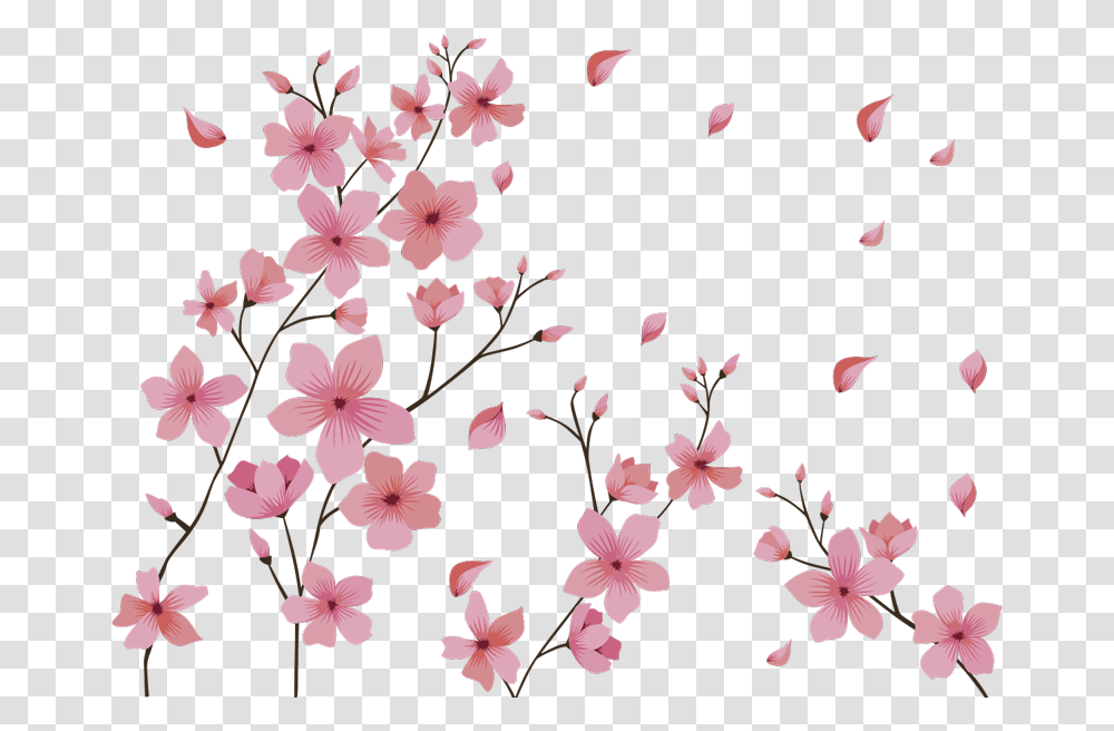 Blosson Spring Flower Wall Decor Butterfly And Flower Template, Plant, Cherry Blossom, Petal Transparent Png