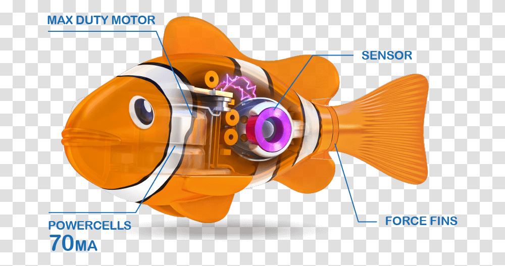 Blowfish, Helmet, Apparel Transparent Png