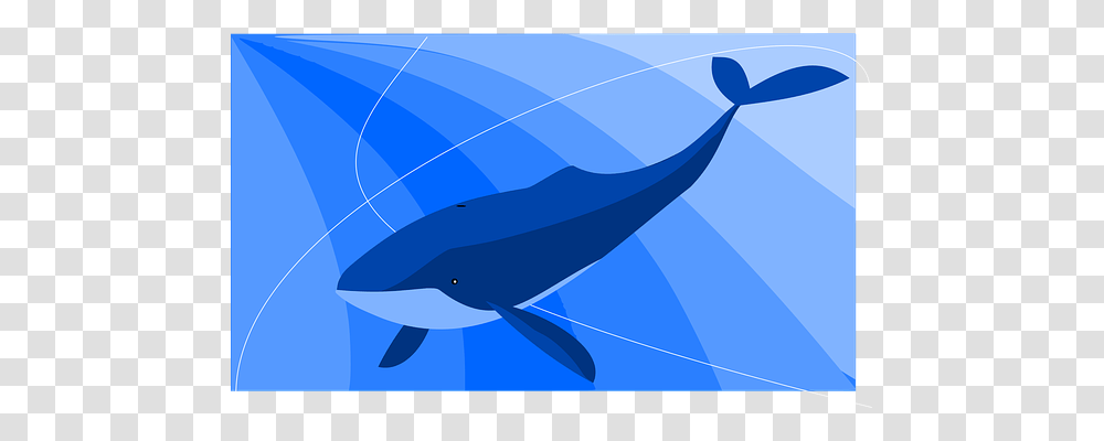 Blue Nature, Sea Life, Animal, Dolphin Transparent Png