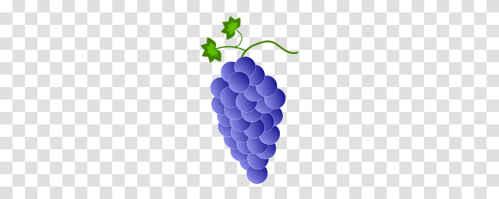 Blue Food, Grapes, Fruit, Plant Transparent Png