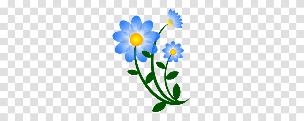 Blue Nature, Anemone, Flower, Plant Transparent Png