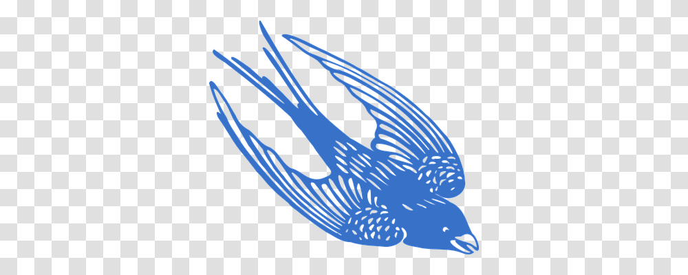 Blue Animals, Bird, Jay, Blue Jay Transparent Png