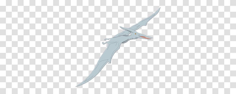 Blue Animals, Knife, Blade, Weapon Transparent Png
