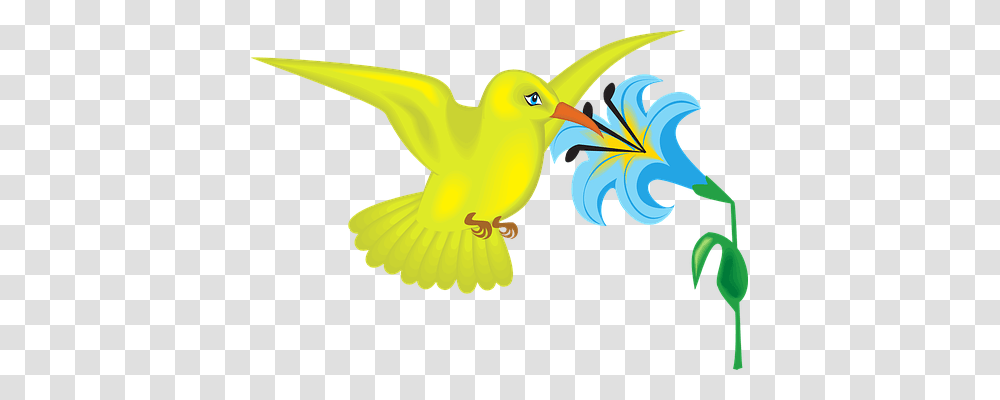 Blue Nature, Beak, Bird, Animal Transparent Png