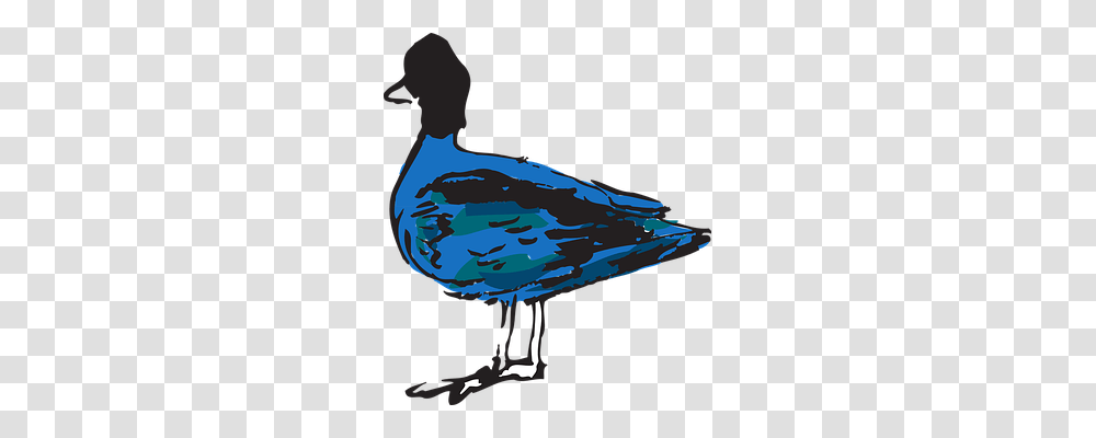 Blue Animals, Bird, Duck, Goose Transparent Png
