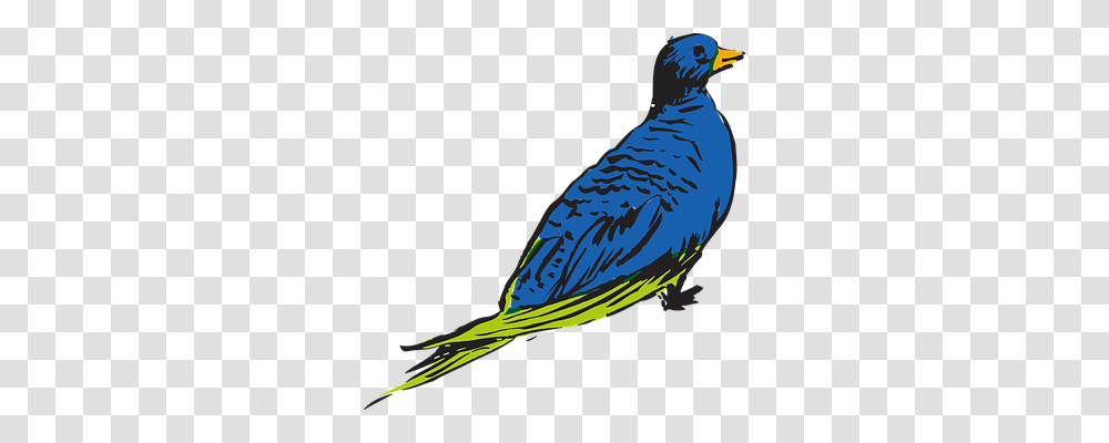 Blue Nature, Bird, Animal, Beak Transparent Png