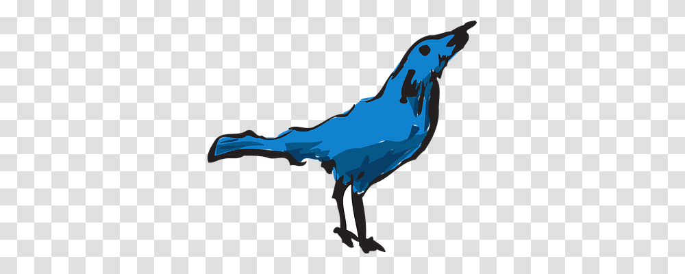 Blue Nature, Bird, Animal, Dinosaur Transparent Png