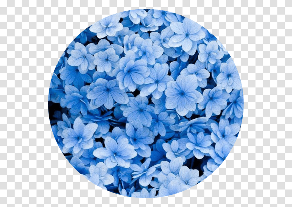 Blue Aesthetic Hd Blue Flowers Iphone Background, Geranium, Plant, Blossom Transparent Png