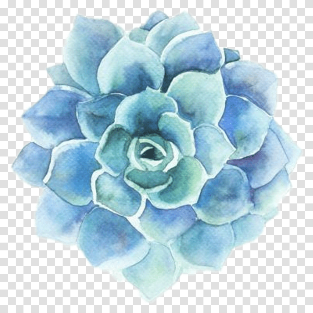 Blue Aesthetic Stickers Flower Accessories Jewelry Dahlia Plant Transparent Png Pngset Com