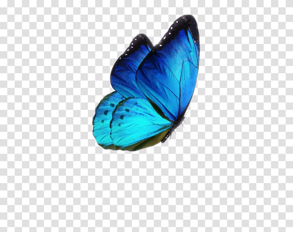 Blue Aesthetic Tumblr Butterfly Sticker By Cs Designs Butterflies, Insect, Invertebrate, Animal, X-Ray Transparent Png