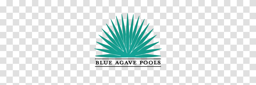 Blue Agave Pools Blue Agave Pools, Label Transparent Png