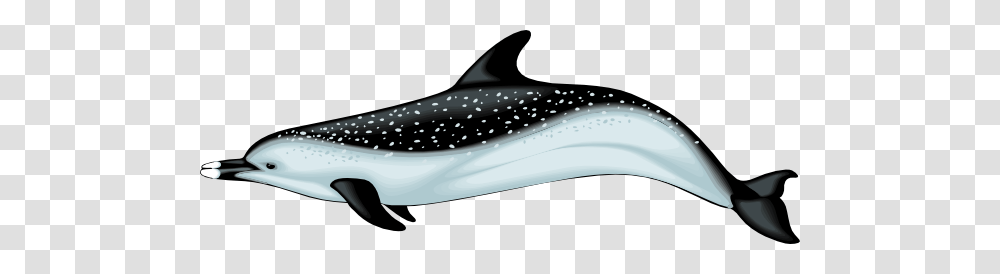 Blue And Black Dolphin With Spots Clip Art, Mammal, Sea Life, Animal, Whale Transparent Png