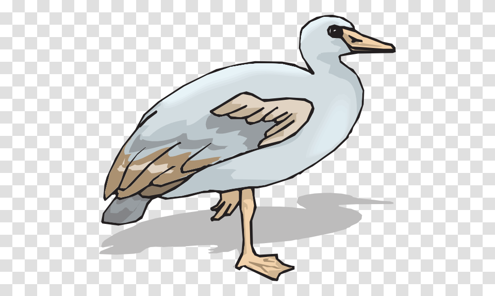 Blue And Brown Goose Svg Clip Arts Goose, Bird, Animal, Helmet Transparent Png