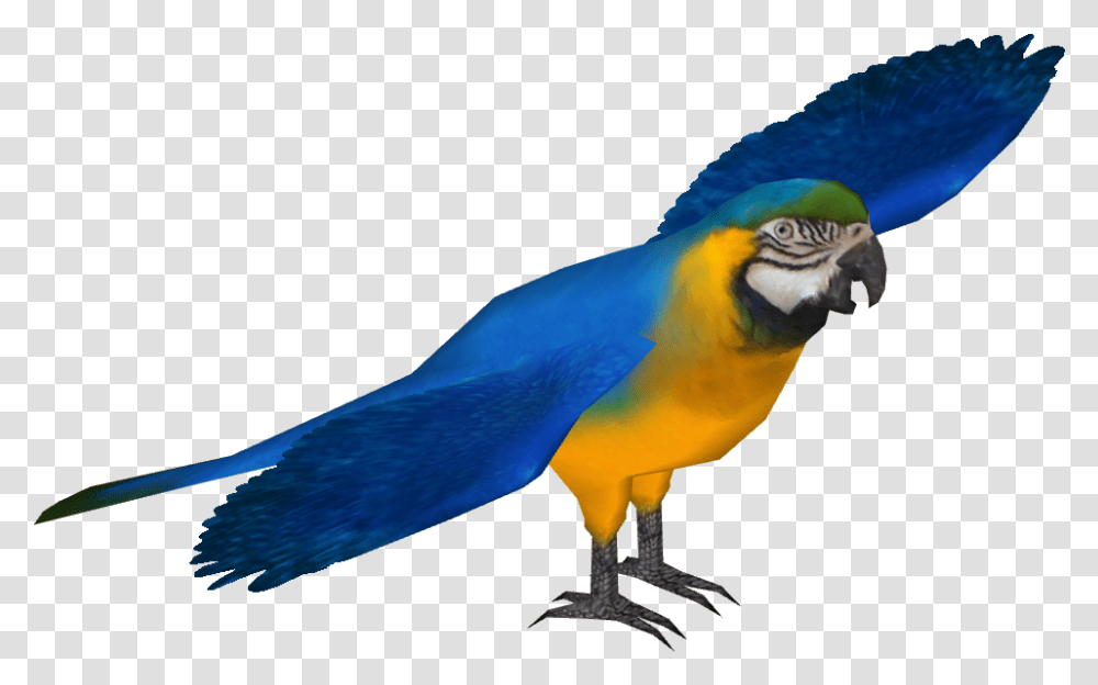 Blue And Gold Macaw Blue Macaw, Bird, Animal, Parrot, Beak Transparent Png