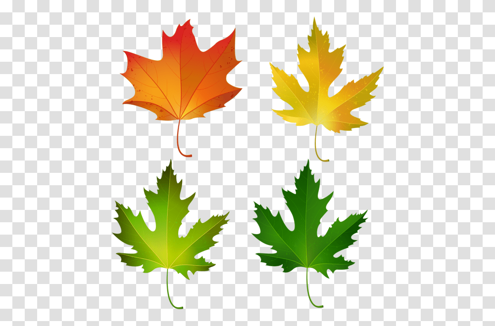 Blue And Green Decorative Leaves Images, Leaf, Plant, Tree, Maple Transparent Png