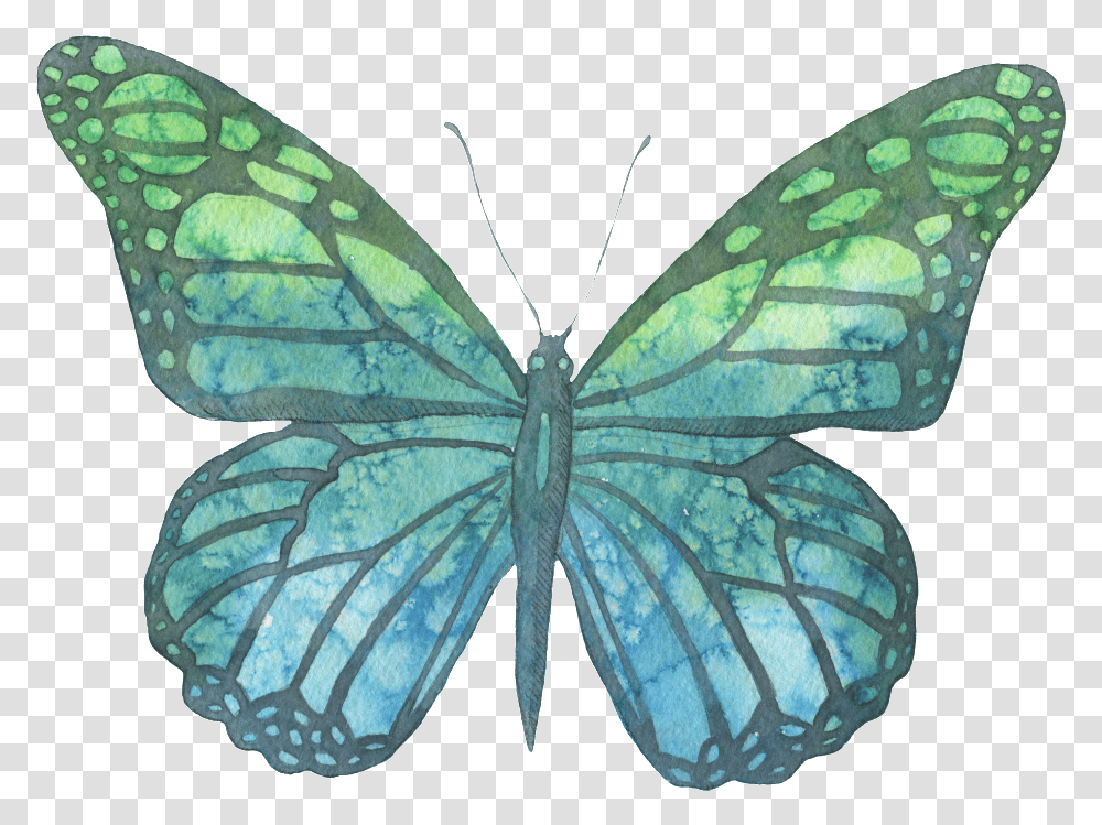 Blue And Green Hand Painted Watercolor Blue Butterfly Brandy Melville, Insect, Invertebrate, Animal, Leaf Transparent Png