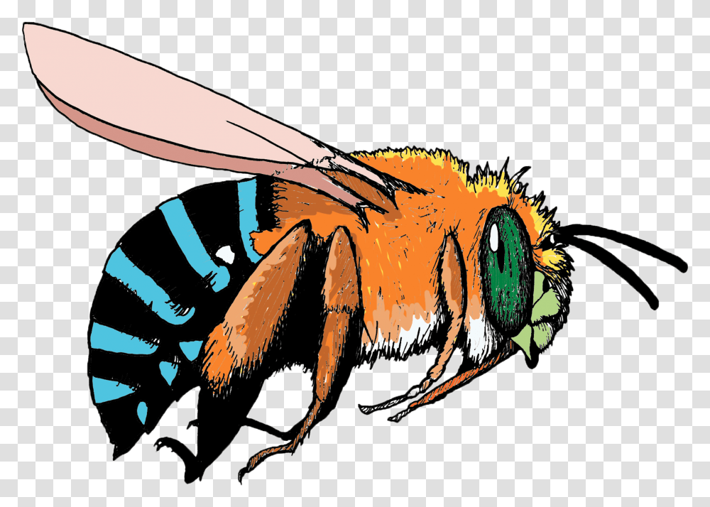 Blue And Orange Bee Hd Blue And Orange Bee, Honey Bee, Insect, Invertebrate, Animal Transparent Png