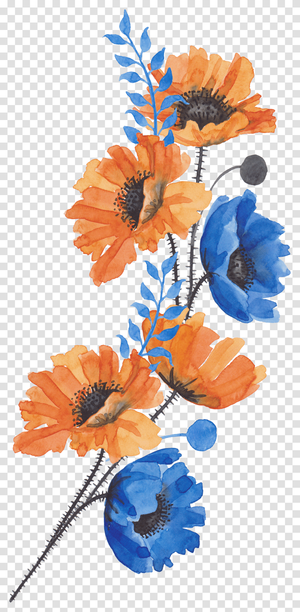 Blue And Orange Watercolor Flowers Transparent Png