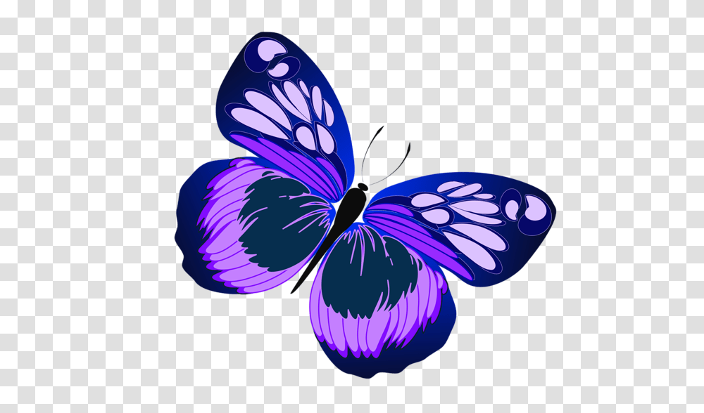 Blue And Purple Butterfly, Insect, Invertebrate Transparent Png