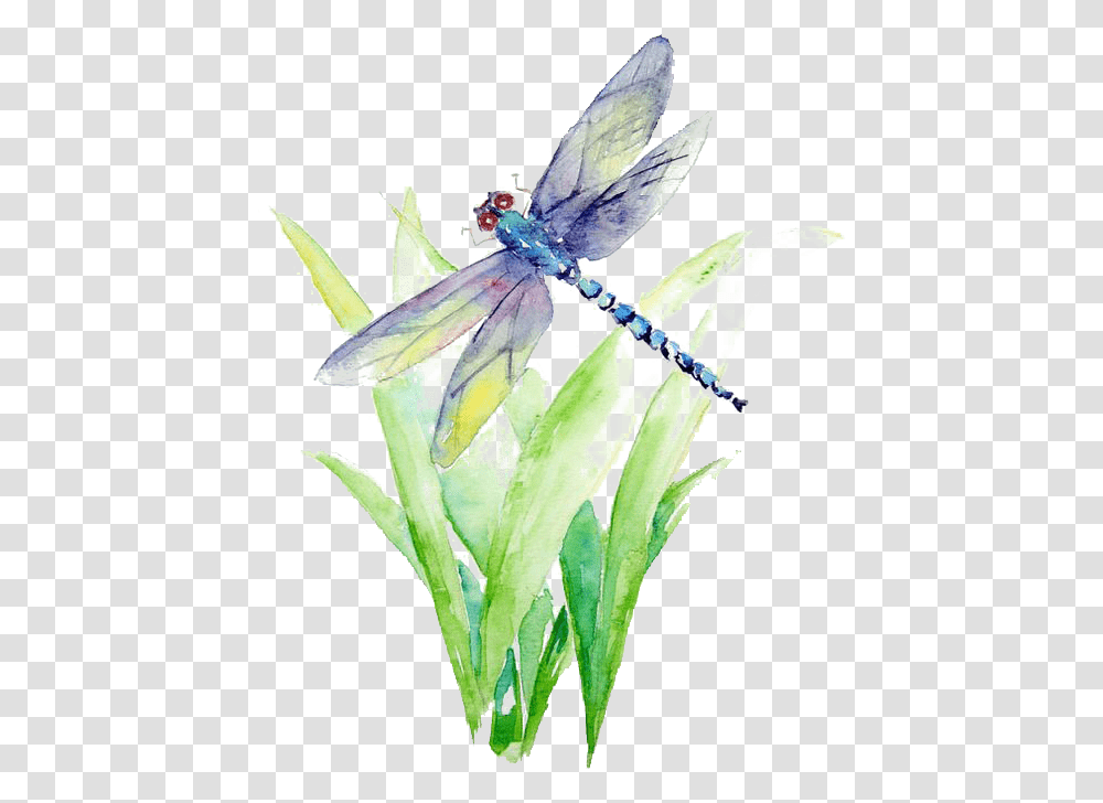 Blue And Purple Dragonfly Illustration Watercolor Painting Dragonfly Watercolor Painting, Plant, Animal, Insect, Invertebrate Transparent Png