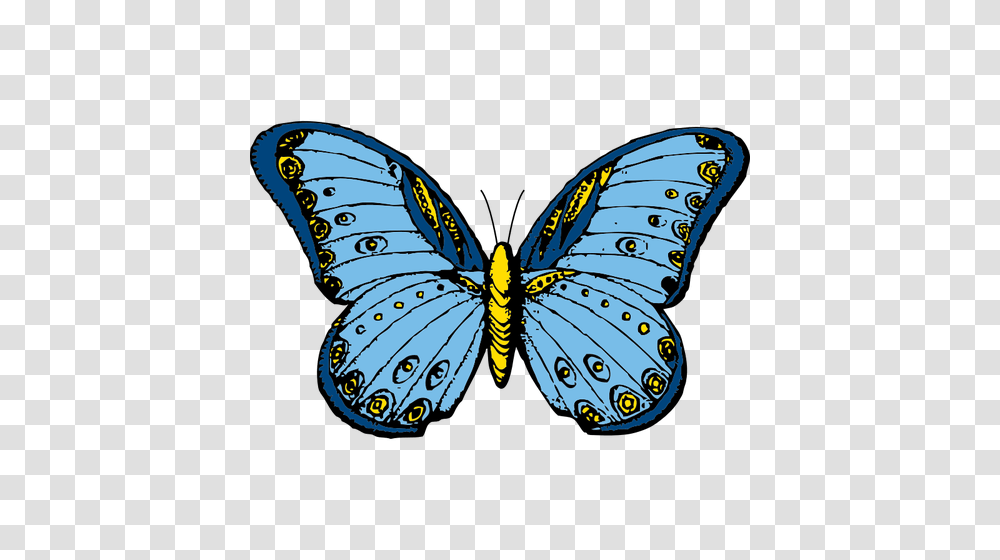 Blue And Yellow Butterfly Vector Clip Art, Pattern, Ornament, Fractal, Insect Transparent Png