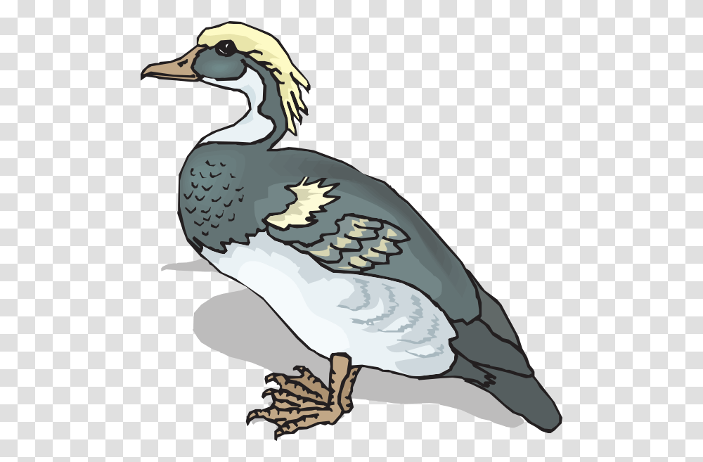 Blue And Yellow Duck Svg Clip Arts Clip Art, Animal, Bird, Vulture, Goose Transparent Png