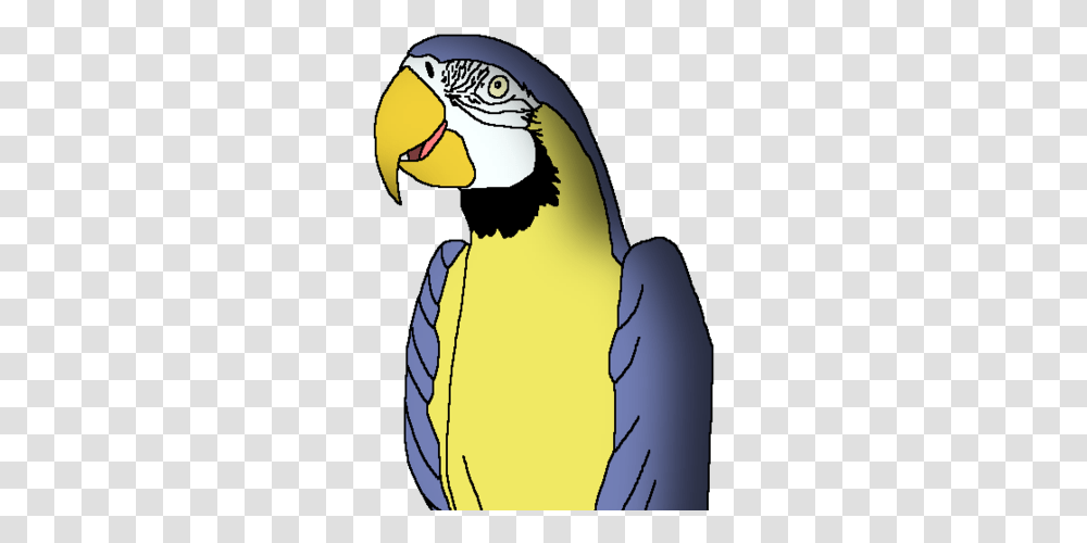 Blue Andyellow Macaw Wildlife Animal Pedia Wiki Fandom Parrots, Bird, Penguin, King Penguin Transparent Png