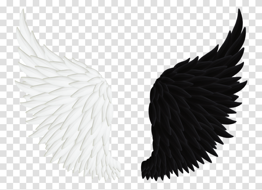 Blue Angel Wing, Bird, Animal, Swan Transparent Png