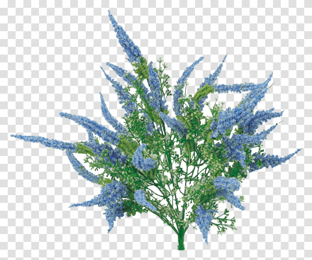 Blue Astilbe Bush Delphinium, Plant, Aloe Transparent Png