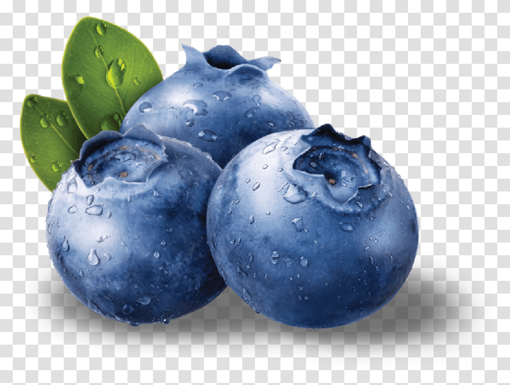 Blue Berries Free Blueberries, Plant, Blueberry, Fruit, Food Transparent Png