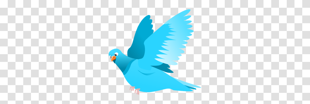 Blue Bird Clip Art, Animal, Pigeon, Dove, Flying Transparent Png