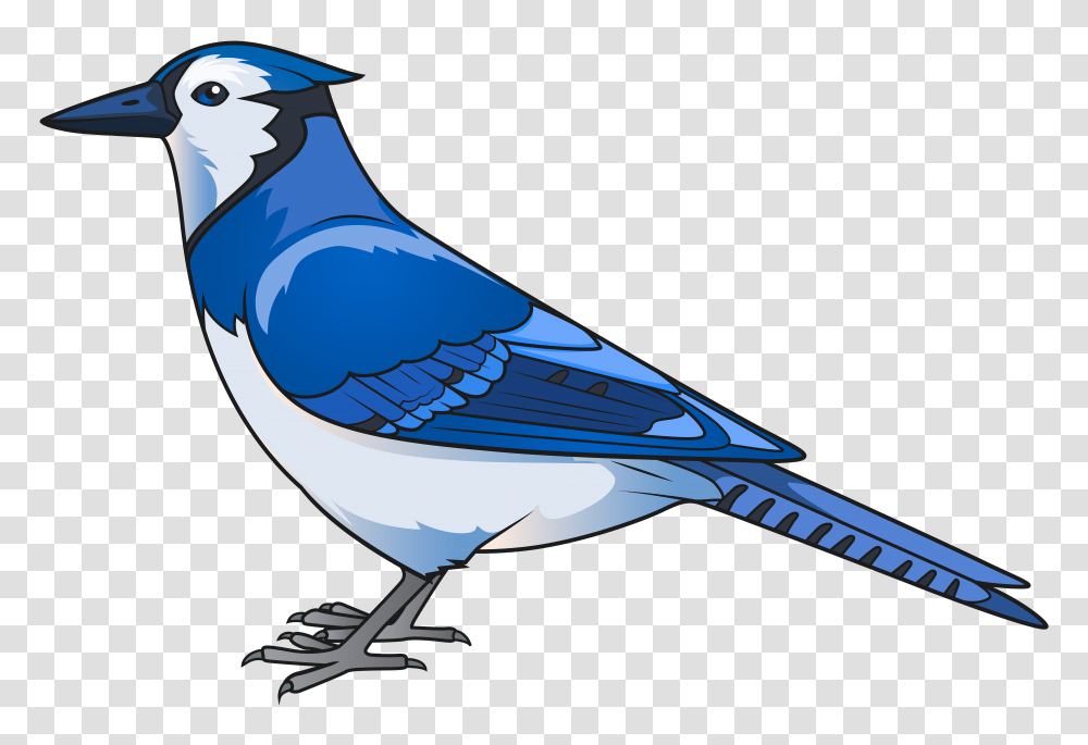 Blue Bird Clip Art, Jay, Animal, Blue Jay, Airplane Transparent Png