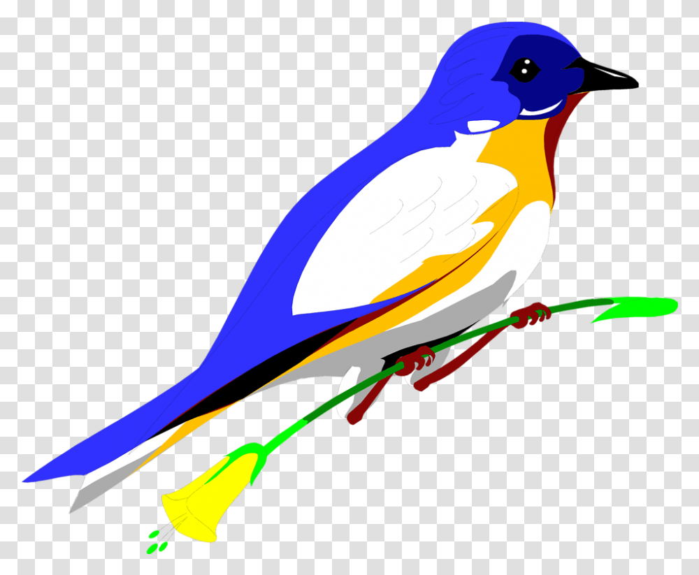 Blue Bird Clipart Bird Clipart, Animal, Jay, Canary, Finch Transparent Png