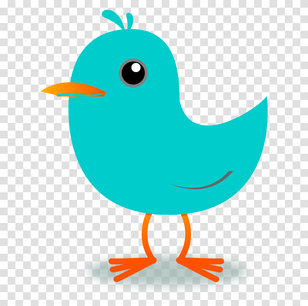 Blue Bird Clipart Clipart Blue Colour Objects, Animal, Fowl Transparent Png