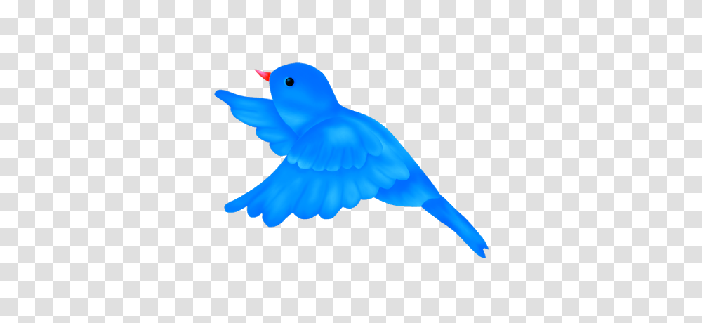 Blue Bird Clipart Free Download Clip Art, Animal, Canary, Bluebird, Dove Transparent Png