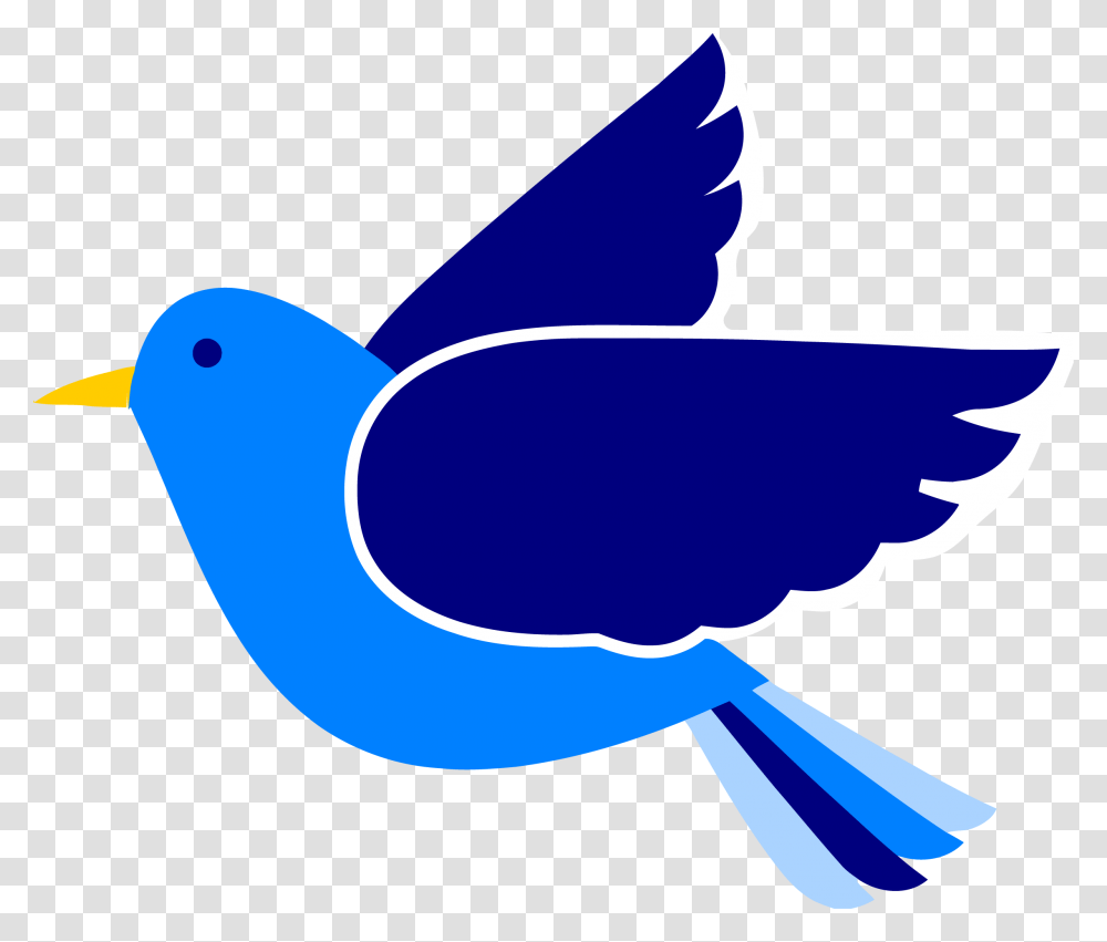 Blue Bird Clipart, Jay, Animal, Bluebird, Blue Jay Transparent Png