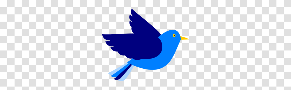 Blue Bird Right Clip Art, Jay, Animal, Bluebird, Blue Jay Transparent Png
