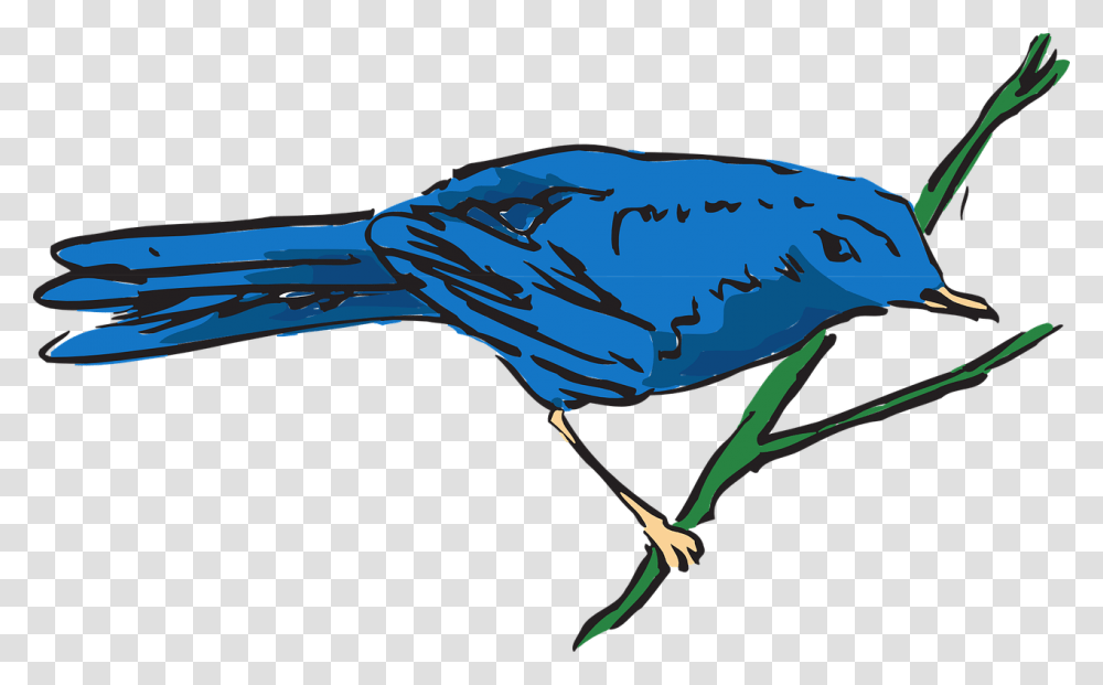 Blue Birds Clip Art, Jay, Animal, Blue Jay Transparent Png