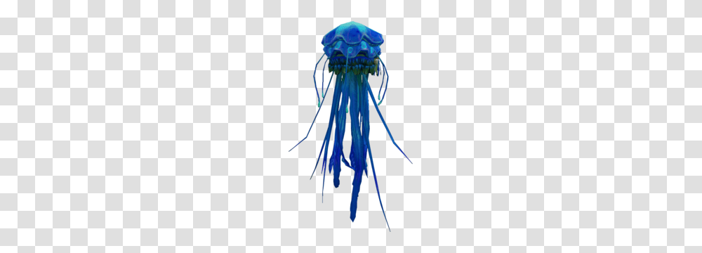 Blue Blubber Jellyfish, Sea Life, Animal, Invertebrate, Octopus Transparent Png