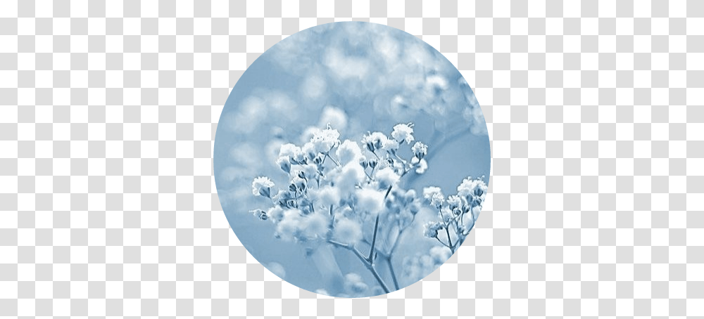 Blue Bluepastel Bambi Aesthetic Tumblr Good Night Winter Flowers, Moon, Outer Space, Astronomy, Outdoors Transparent Png