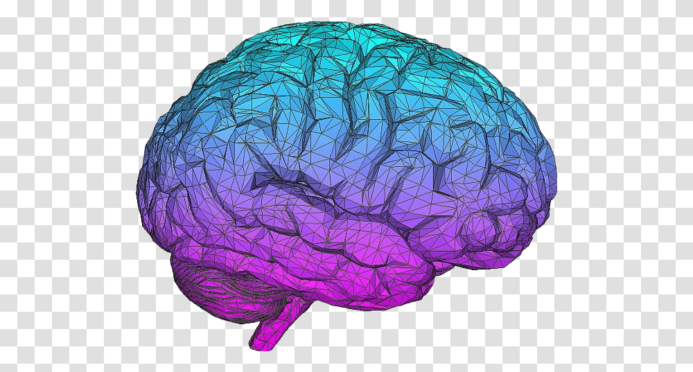 Blue Brain Download Image Aesthetic Brain, Plant, Sphere, Vegetable, Food Transparent Png