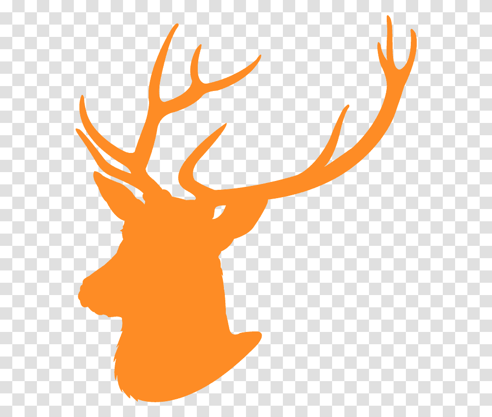 Blue Buck Head Clipart, Antler, Deer, Wildlife, Mammal Transparent Png