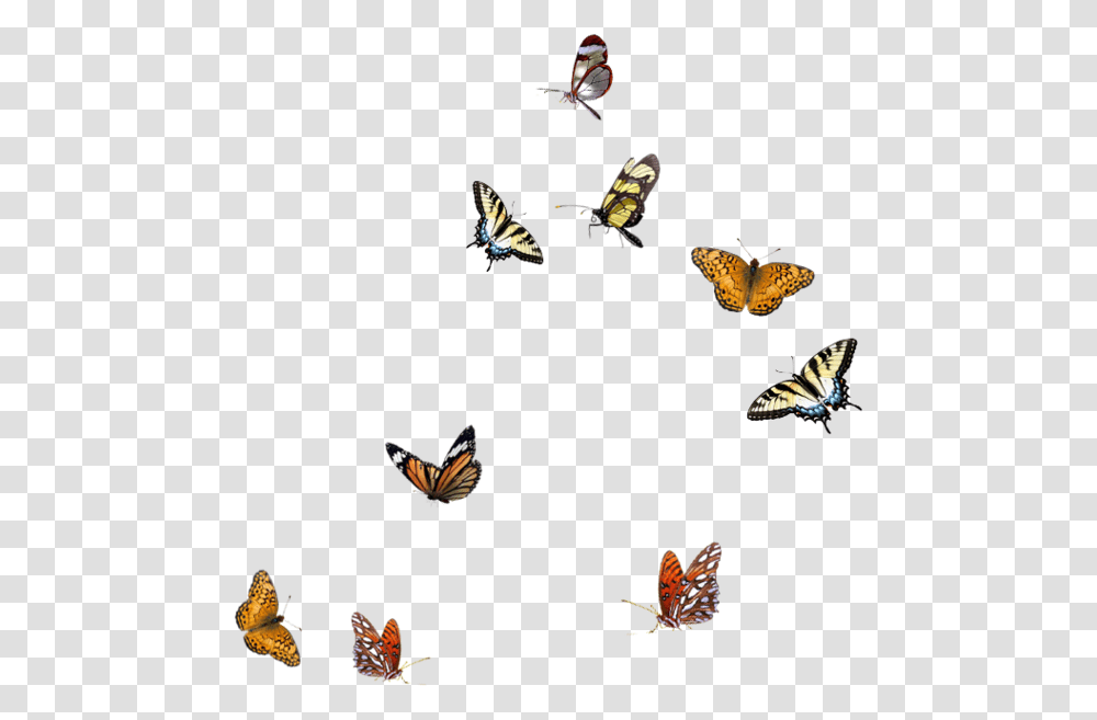 Blue Butterflies Flying, Butterfly, Insect, Invertebrate, Animal Transparent Png