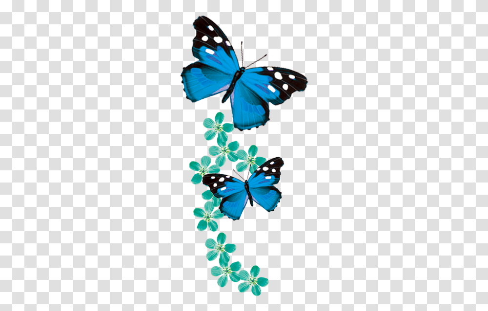 Blue Butterflies No Background, Insect, Invertebrate, Animal, Butterfly Transparent Png