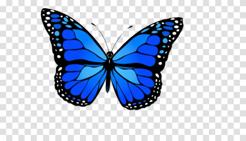 Blue Butterfly Black And Gold Monarch Butterfly, Insect, Invertebrate, Animal, Pattern Transparent Png