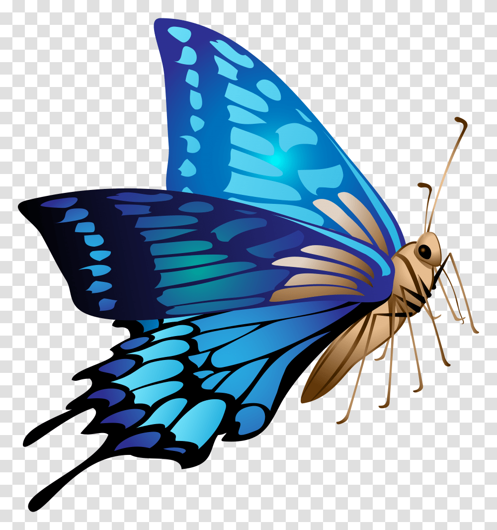 Blue Butterfly Clip Art, Bird, Animal, Jay, Blue Jay Transparent Png