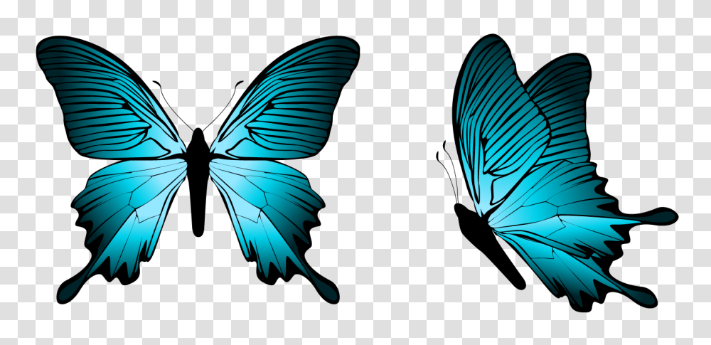 Blue Butterfly Clipart, Animal, Insect, Invertebrate, Flying Transparent Png