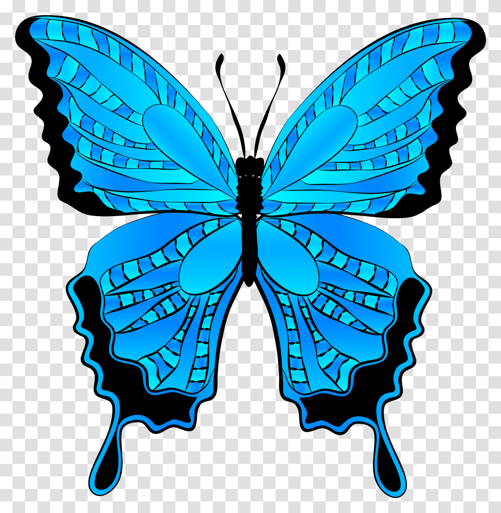 Blue Butterfly Clipart Blue Butterfly Clipart, Pattern, Ornament, Graphics, Bluebird Transparent Png